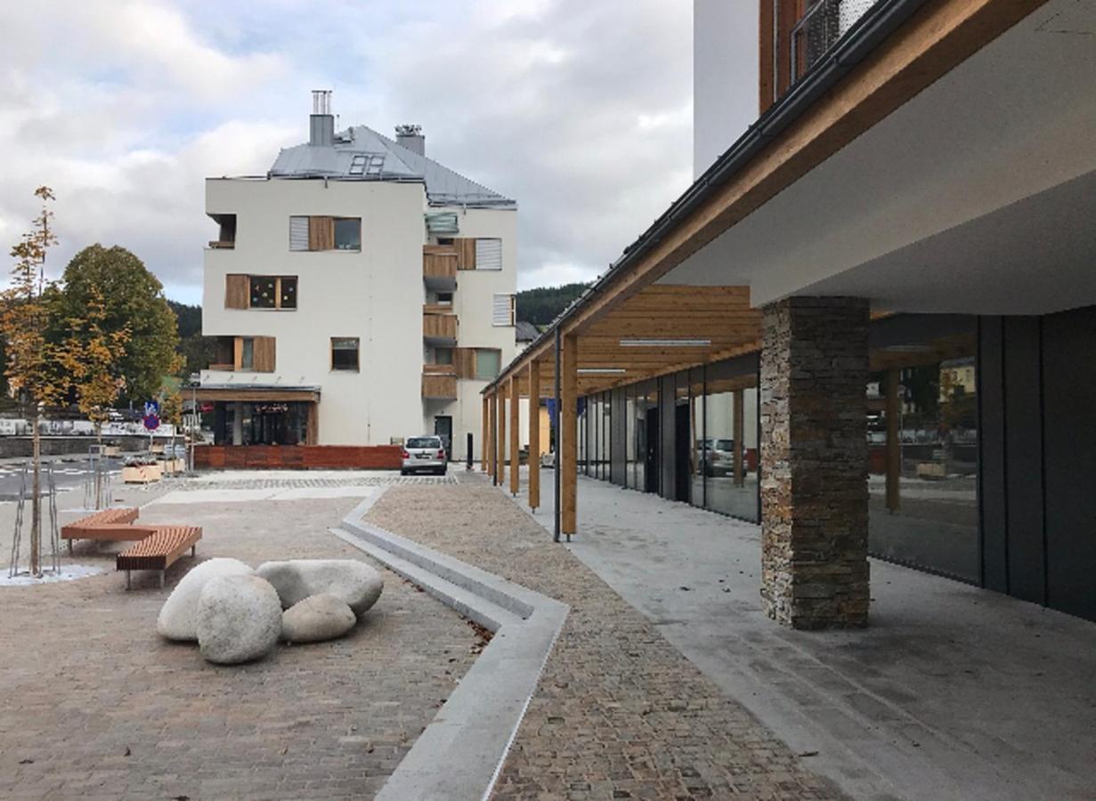 Wellness Rezidence Javor, Ubytovani Se Zasklenou Terasou V Centru Zelezne Rudy Železná Ruda Buitenkant foto